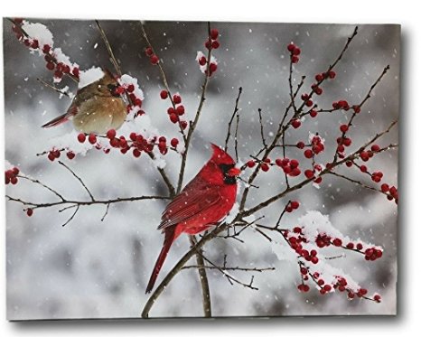 Cardinal Canvas Print - LED Lighted Print with Cardinals and Berries - Winter Scene Artwork - Cardinal Pictures