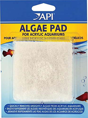 API ALGAE PAD For Acrylic Aquariums 1-Count Container