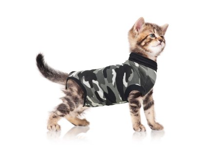 Suitical Recovery Suit for Cats in Black Camo Professional alternative to the Cone of Shame Suitable for wound and Bandage protection Hotspots Skin Diseases Recommended and used by thousands of pet owners and vets worldwide