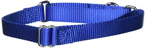 PetSafe Petite Martingale Collar