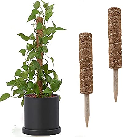 GWOKWAI 2Pack Coir Totem Pole, Plant Coir Moss Stick Plant Support Stake for Climbing Indoor Plants Support Extension, Creepers