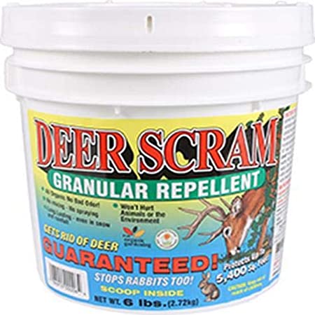 Enviro Pro 1006 Deer Scram Repellent Granular White Pail, 6 Pounds