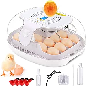 Sailnovo Egg Incubator for Hatching Chicks, 16-35 Eggs Incubator with Automatic Water Top-up, Auto Turning, Egg Candler, ℉ Display, 360° View Poultry Incubator for Hatching Chicken Duck Quail Eggs