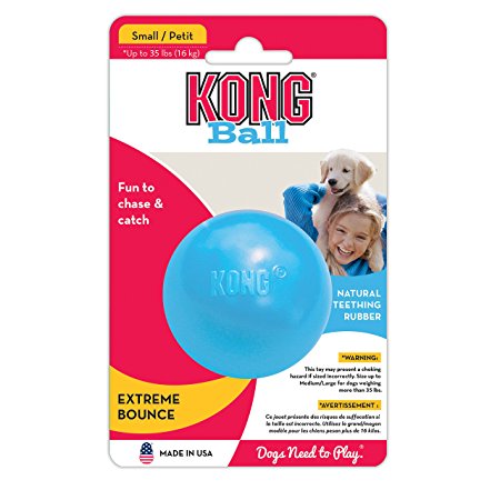 Puppy Ball With Hole Dog Toy