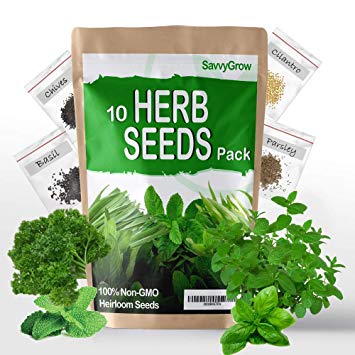 SavvyGrow Heirloom Herb Seeds (10 Type) – Survival Garden Seeds for Planting Include Basil, Mint, Cilantro, Dill - Open Pollinated, 85% Plus Germination Rate, Non-GMO & Source in USA Plant Herbs(Herb)