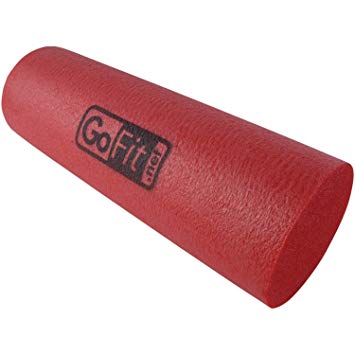 GoFit Foam Roller with Training Manual
