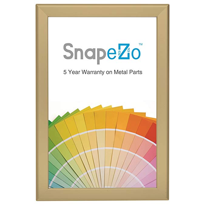 SnapeZo Notice Frame 11x17 Inches, Gold 1.25" Aluminum Profile, Front-Loading Snap Frame, Wall Mounting, Professional Series