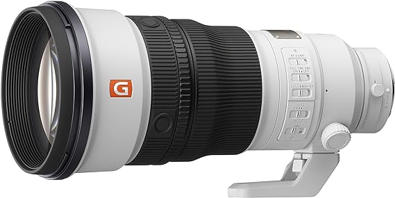 Sony FE 300mm F2.8 GM OSS