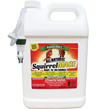 Squirrel MACE Squirrel Repellent 1 Gallon Ready-to-Use Spray