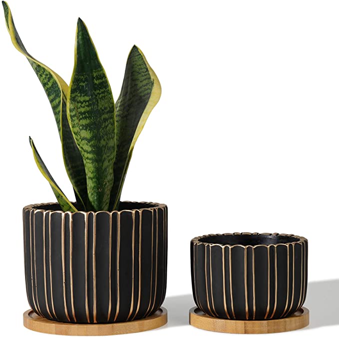 POTEY 057405 Cement Planter Pots - 5.7   4.7 Inch Indoor Concrete Planters Bonsai Containers with Drainage Hole & Bamboo Saucer for Plants Succulent Cactus Flowers (Set of 2, Plants NOT Included)