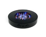 Fortune Products LB-RGBW-6B Super Bright 40 LED Light Base 6 14 Diameter 1 Height Multi-Color Black Body