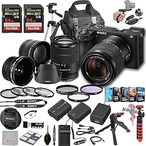 Sony a6700 Mirrorless Camera with 18-135mm Lens, 128GB Extreem Speed Memory,.43 Wide Angle & 2X Lenses, Case,Tripod, Filters, Hood, Grip,Spare Battery & Charger,Editing Software Kit -Deluxe Bundle