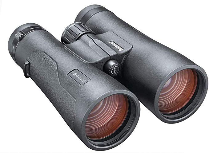 Bushnell Engage DX 12x50mm Binocular