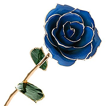 Polend [Valentine's Day Gifts] Love forever Long Stem Dipped 24k Gold Foil Trim Rose, Best Gift for Valentine's Day Gifts,Women's day,Mother's Day, Anniversary, Birthday Gift,Last Forever (Blue)
