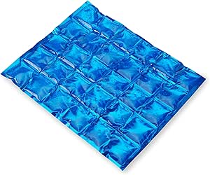 True Reusable Ice Pack, Soft Flexible Freezer Gel Cooling Mat for Food and Drinks, Blue, 9.5 x 12 Inches, Set of 1