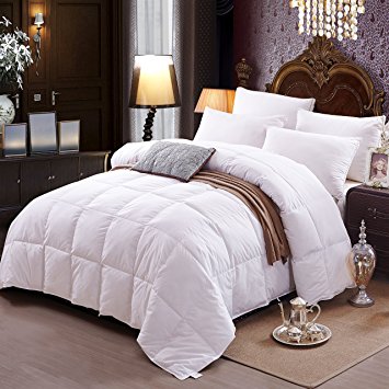 Topsleepy Full Size Year Round White Alternative Goose Down Comforter with 100% Cotton Duvet Cover (Queen Size)