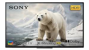 Sony BRAVIA 80 cm (32 inches) HD Ready Smart LED Google TV KD-32W825 (Black)