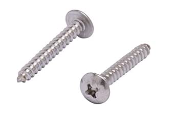 Bolt Dropper #6 X 1" Truss Head Phillips Wood, (100pc), 18-8 (304) Stainless Steel Screws