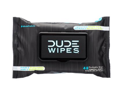 Dude Wipes Flushable Wipes, Unscented & Naturally Soothing, Dispenser Pack (48ct)