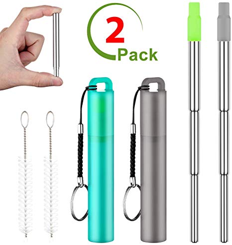 Reusable Metal Straw with Silicone Tip, Collapsible Telescopic Stainless Steel Drinking Straw with Cleaning Brush and Portable Case, 2 Pack, Gray & Green
