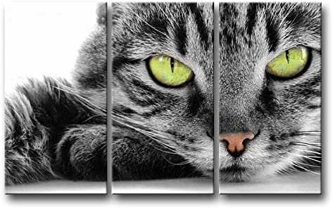 3 Piece Black and White Wall Art Painting Green Eye Cat Pictures Prints On Canvas Animal The Picture Decor Oil for Home Modern Decoration Print