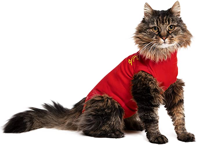 MPS Medical Pet Shirt Cat, Surgery Recovery Suit, Red, X-Small