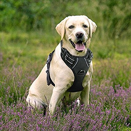 Rabbitgoo Adjustable Refletive Dog Harness Outdoor Pet Vest with Handle Easy Control for Large Dogs & Durable Material Black