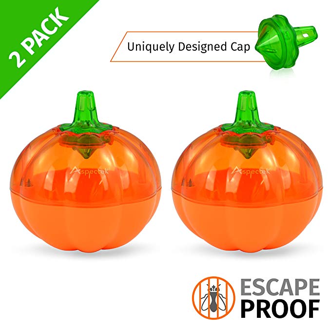 Aspectek Fruit Fly Trap, Pumpkin Shape, Pack of 2