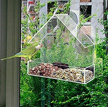 Redwood Leisure Window Bird Feeder Clear Perspex Hanging Bird Feeder With Suction Cup BB-BF111