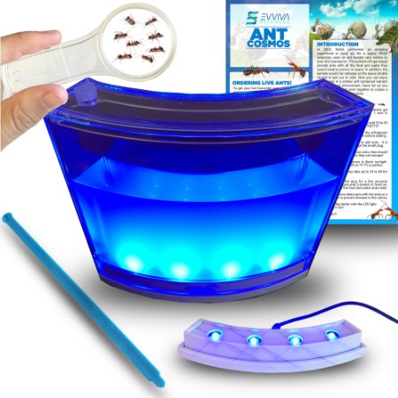 Ant Habitat W/ LED Light. Enjoy A Magnificent Live Ecosystem At Your Home. Suitable For Kids & Adults. The Best Ant Farm Equipped W/ Enhanced Blue Gel. Evviva Educational & Learning Science Games