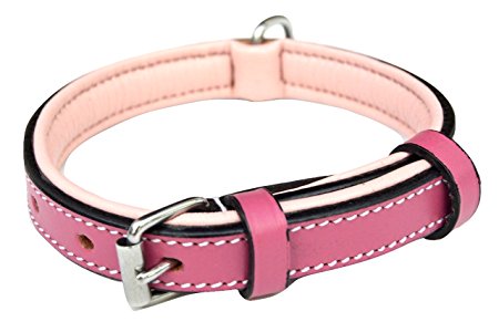 Luxury Real Leather Padded Dog Collar - The Capri Collection -