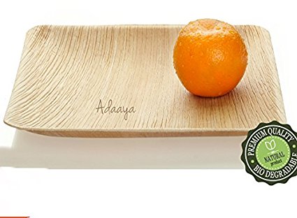 Adaaya Palm Leaf Plates 10 Inch Square Natural & 100% Compostable - Best Disposable Party Plates - 20 Count