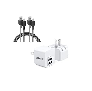 Anker 310 USB A to Type C Cable & Anker 2-Pack Dual Port Wall Charger