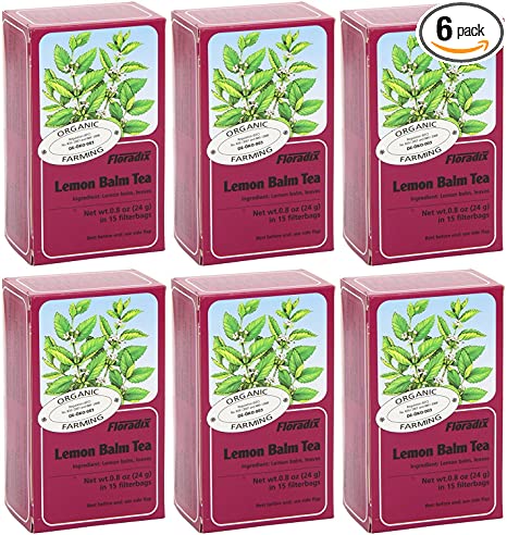 Floradix Lemon Balm Organic Herbal Tea 15 Bag (Pack of 6)