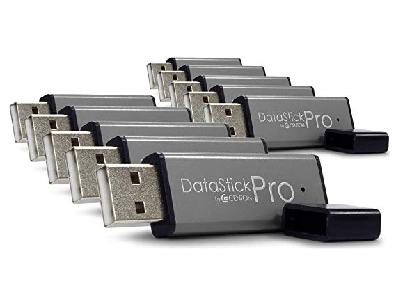 Centon Electronics DataStick Pro 32GB USB 2.0 Flash Drive (DSP32GB10PK)