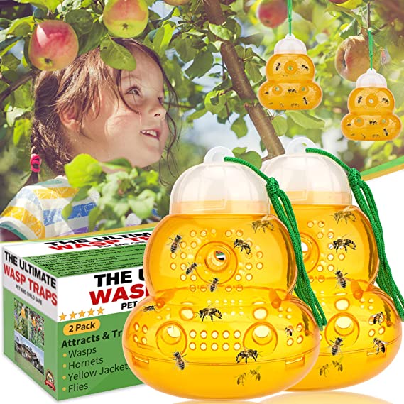 Wasp Traps,Yellow Jacket Trap Plastic Wasp Trap Outdoor Hanging Honey Bee Traps Catcher Wasp and Hornet Traps for Outside,Non-Toxic Reusable Flying Insect Traps for Bee Killer Wasp Repellent Deterrent