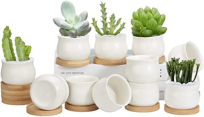 12 Pack Succulent Pots, 2.6 Inch ZOUTOG Mini Ceramic Pots for Flower or Cactus with Drainage Hole, Small Pots for Plants, Plants Not Included