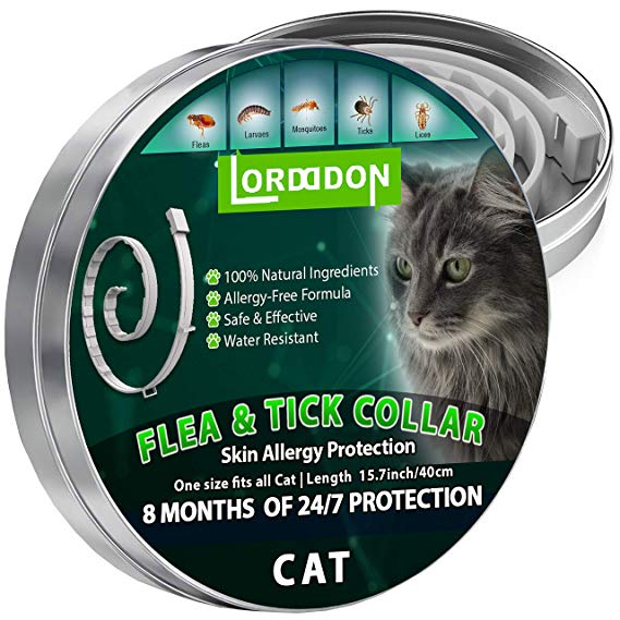 LORDDDON Flea and Tick Collar for Cats and Small Dogs One Size Fits All with Adjustable Design Prevention and Advanced Natural Cat Flea and Tick Control