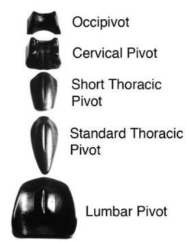 Pivotal Therapy Standard Thoracic - Pivotal Therapy System Component