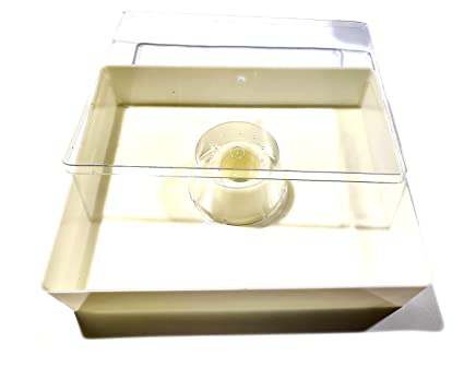 10 Frame top bee Feeder with Clear Lid Clear Rapid British bee Feeder 1.5 Gallon 6L
