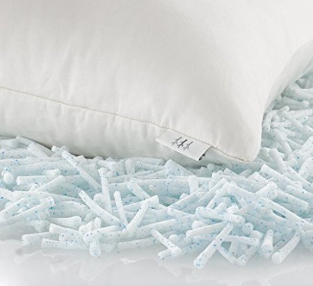 Brentwood Home Pacifica Gel Memory Foam Pillow with Organic Cotton Cover, Made In USA, Queen