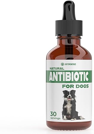 Natural Antibiotics for Dogs | Dog Antibiotics | Dog Ear Infection Treatment | Dog Itch Relief | Yeast Infection Treatment for Dogs | Dog Antibiotic | Pet Antibiotics | Antibiotic for Dogs | (1)