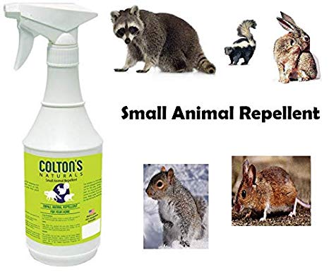 Colton's Naturals Small Animal Spray Repellent – All-Natural Defense Repeller Mice, Rats, Squirrels, Rabbits, Raccoons, Skunks – Indoor Outdoor Use – Ideal Garage, Garbage Cans, Garden