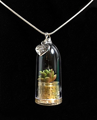 Live Stone Rose Succulent Necklace Wearable Miniature Succulent Necklace Nature Terrarium Necklace