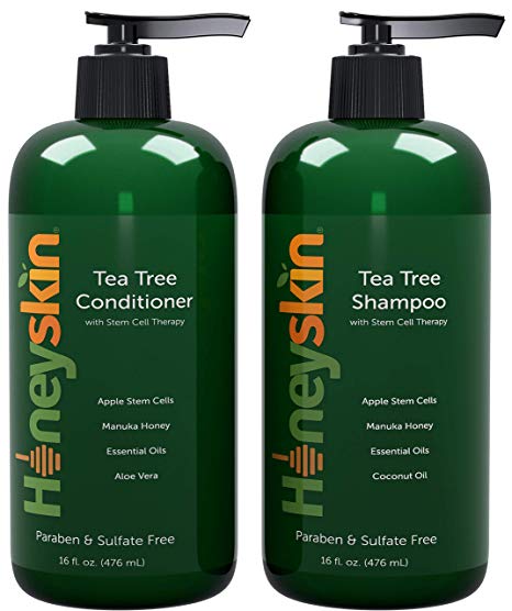 Tea Tree Shampoo & Conditioner Set - with Manuka Honey, Coconut Oil & Apple Stem Cell Therapy - Dandruff & Hair Loss Treatment - Soothes Itchy Scalp & Hair Thickening - Paraben & Sulfate Free (16oz)