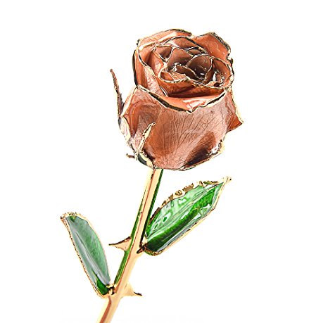 M Dream Valentine Gifts for Her, Long Stem Trimmed 24K Gold Dipped Real Rose Champagne 11 Inches Set of 1,Best Gift for Valentine's Day, Mother's Day, Anniversary, Birthday