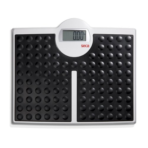 seca 813 High Capacity Digital Flat Scale for Individual Patient Use.