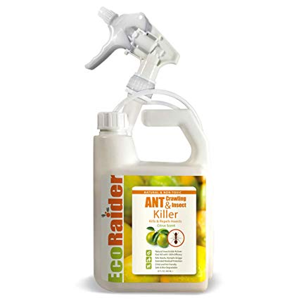 EcoRaider Ant Killer (32 oz) with Remote Trigger Sprayer, Instant Kill   4-Weeks Prevention, Non-Toxic   Child and Pet Friendly