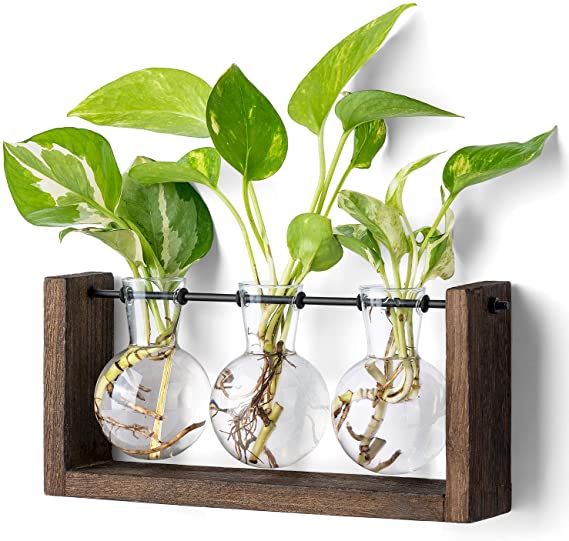 Mkono Plant Terrarium with Wooden Stand, Wall Hanging Glass Planter Tabletop Propagation Station Bulb Vase Metal Swivel Holder Retro Rack with 3 Bud Bottle for Hydroponics Plants Home Office Decor