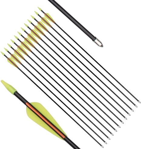 Archery Practice Fiberglass Arrows 24/26/28/30 Inch Target Shooting Safetyglass Recurve Bows Suitable for Youth Children Woman Beginner 6/12PCS
